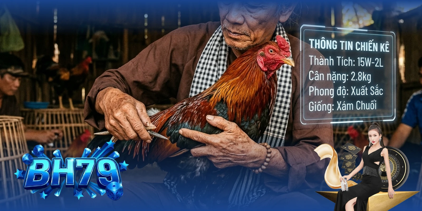 Kinh nghiệm soi kèo đá gà BH79 — Chuyên gia phân tích tướng gà tại trường đấu